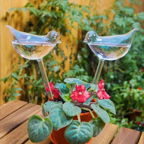  2pcs Self-Watering Plant Glass Bulbs