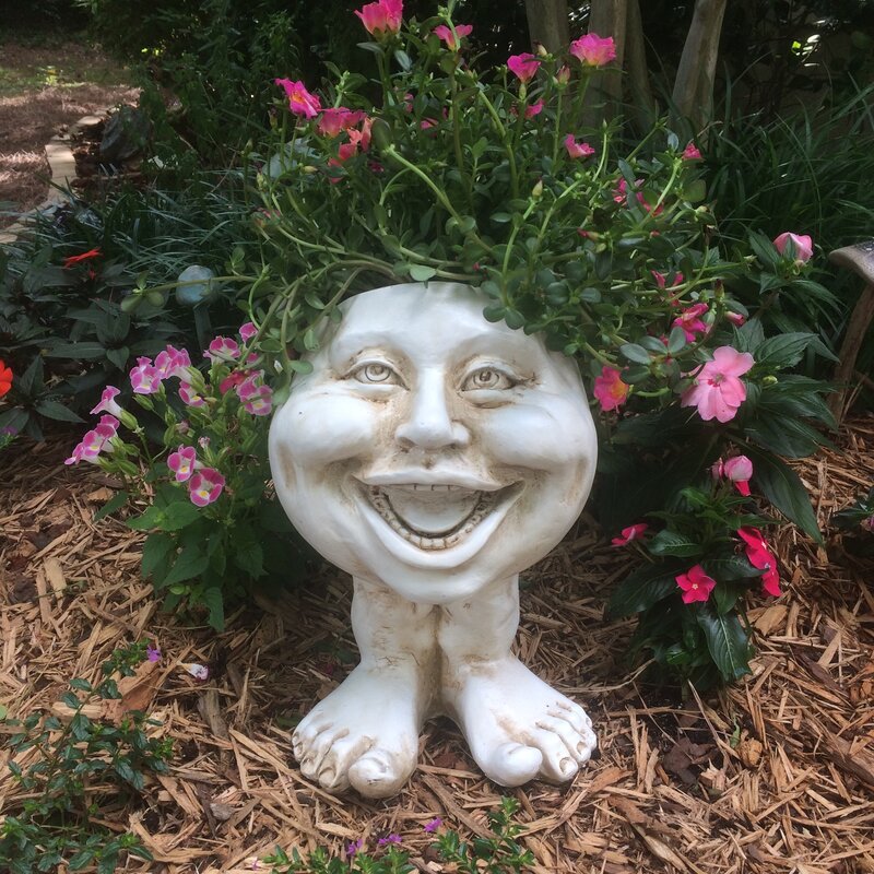 Funny Plant Pot