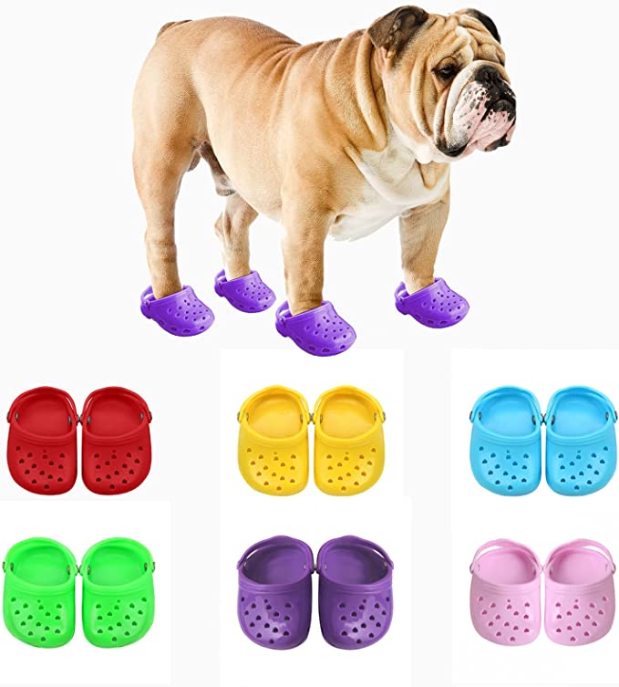 2022 Dog Crocs for Small Dogs
