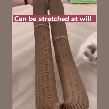 Foldable Scratch Board