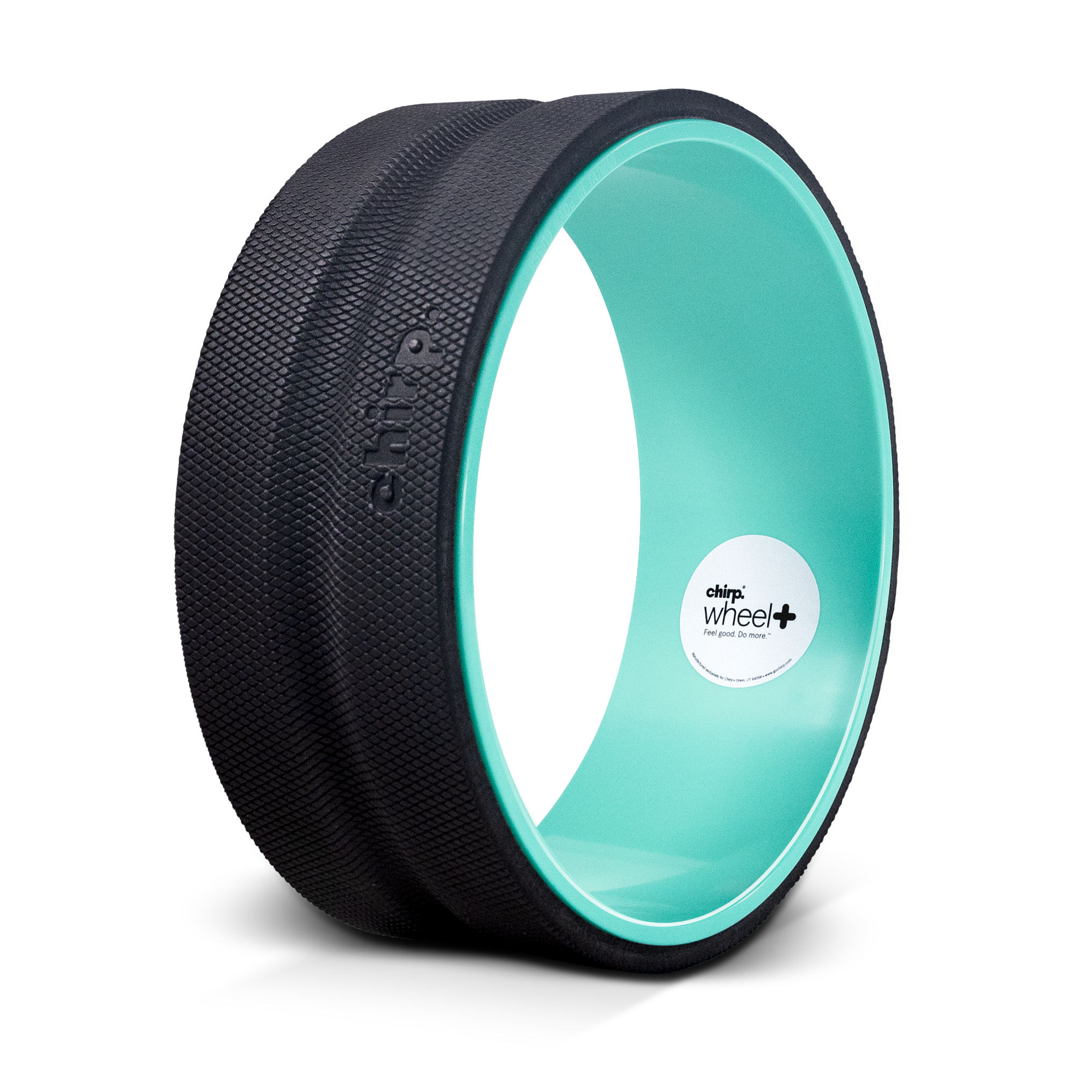 Chirp Wheel+ 12" Gentle