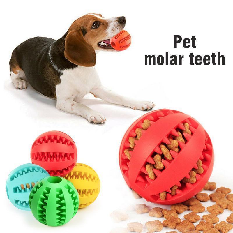 Hund tygger gummiball