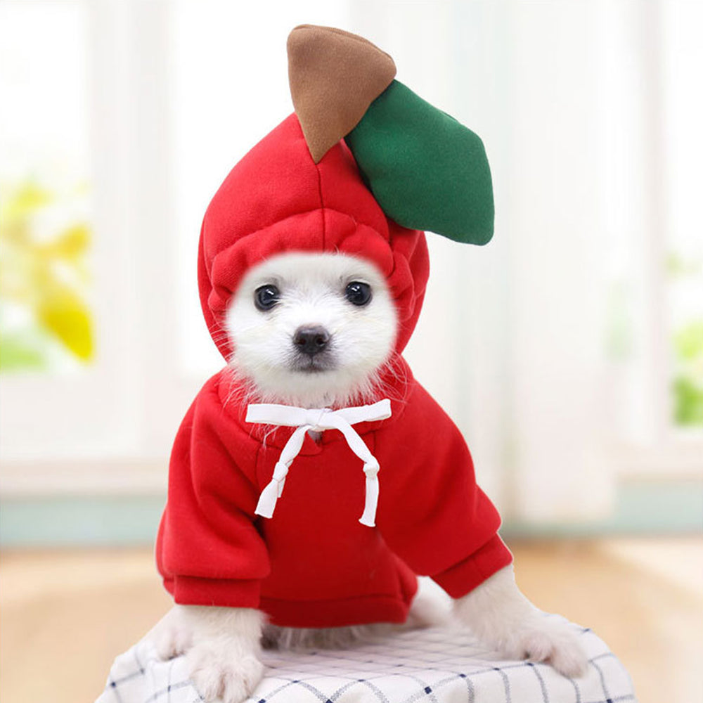 Hibote™  Süße warme Jacke für Hunde im Winter