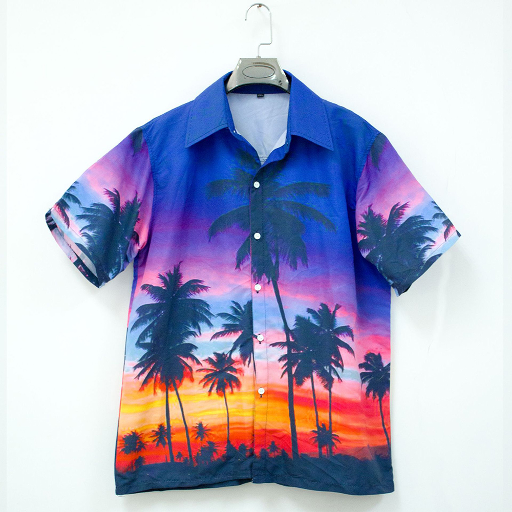 Jagute™ Hawaiian Style Print Shirt für Sommermänner