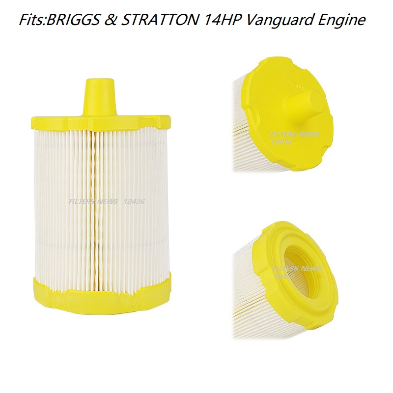 12436 BRIGGS & STRATTON  84002310