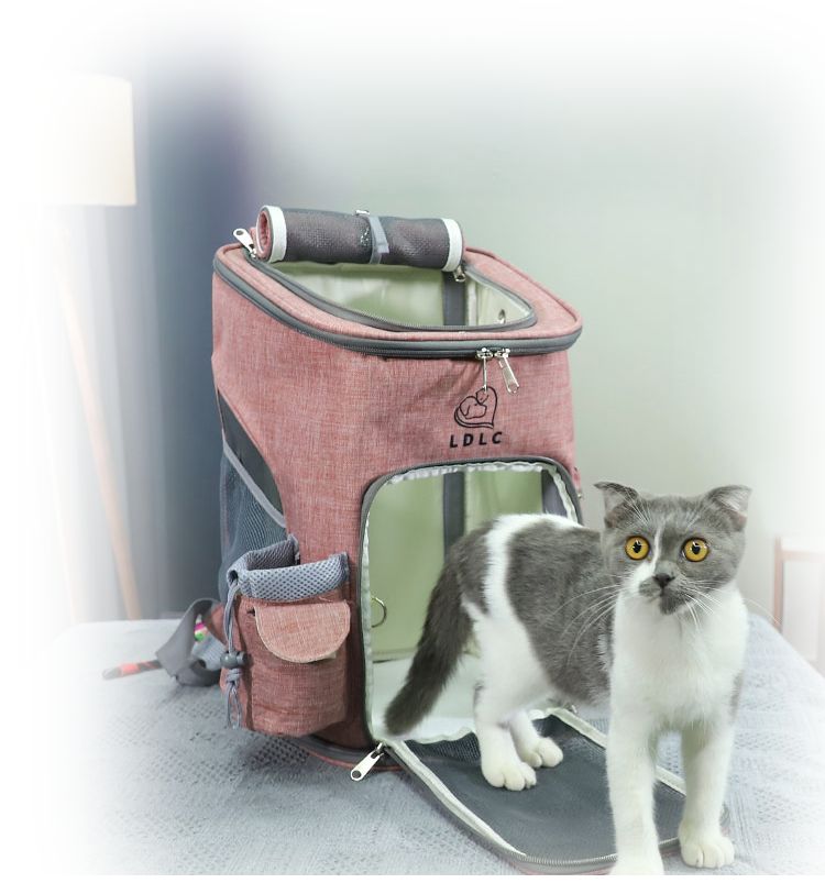  cat bag Travel Knapsack breathable dog carrier backpack