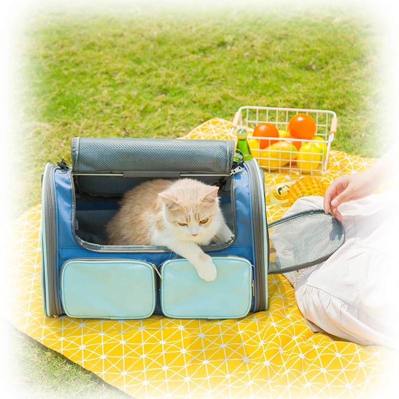 new style pet travel basket foldable capsule transport pet carrier backpack
