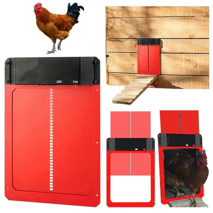 🎉LAST DAY 🎉 - Automatic Chicken Coop Door