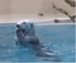 新建的商品2023-06-09 17:39:03