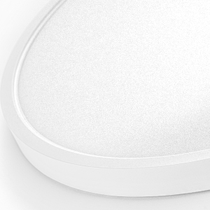 Dimmable Flush Mount LED Ceiling Light Fixture, 12 inch 20W,3000/3500/4000/5000/6500K Selectable Ceiling Light, 5 Colors in 1, Low Profile Light