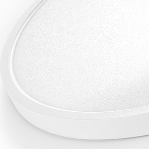 Dimmable Flush Mount LED Ceiling Light Fixture, 12 inch 20W,3000/3500/4000/5000/6500K Selectable Ceiling Light, 5 Colors in 1, Low Profile Light