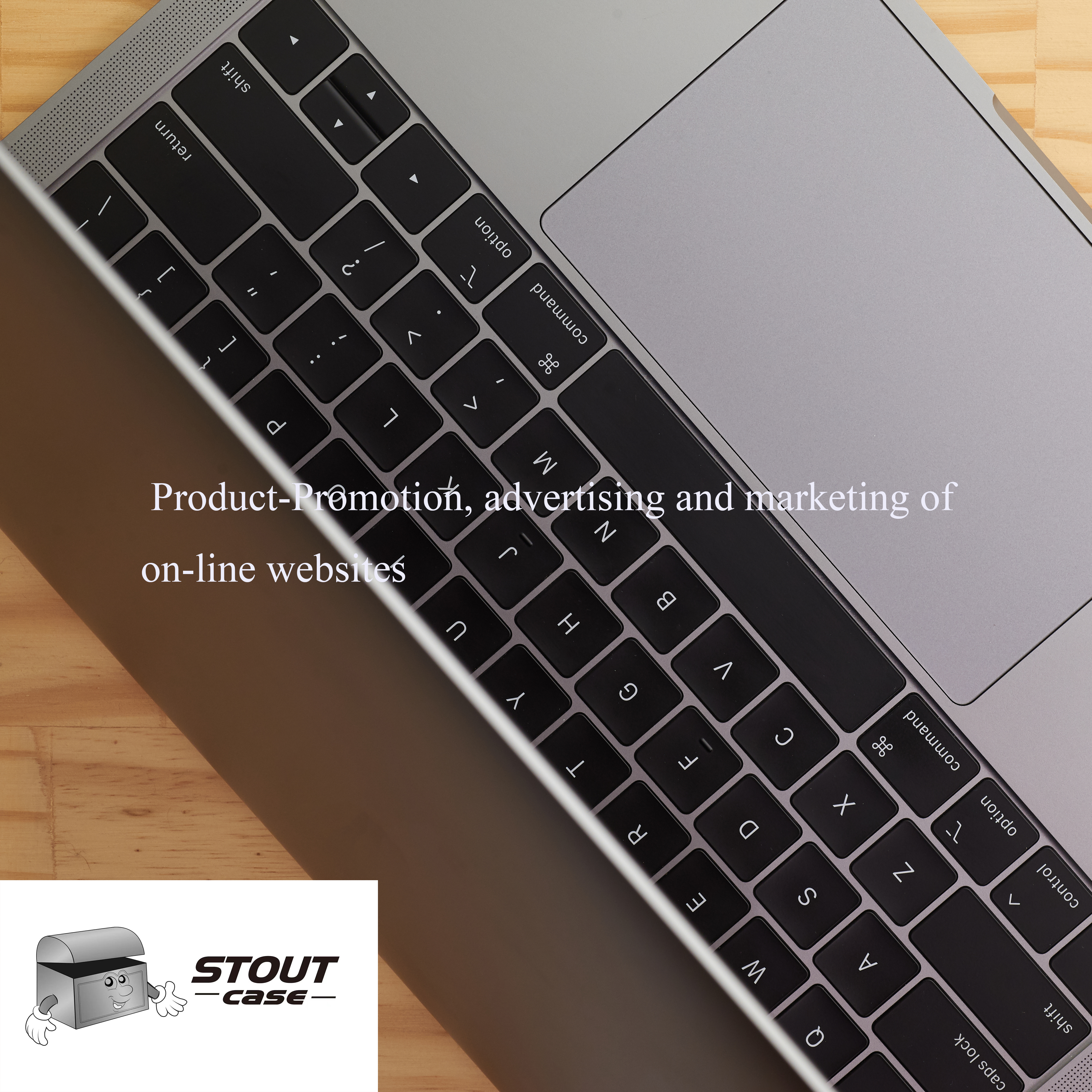 STOUT CASE Online Advertising Solution to effectively advertise your brand