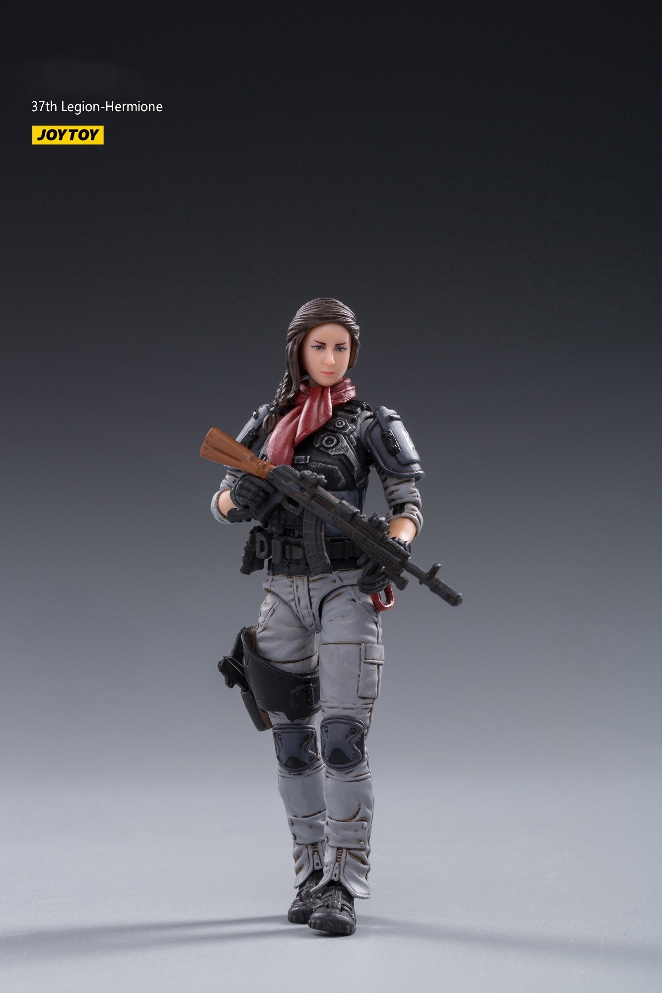 JOYTOY 1/18 Action Figures 04th Legion-Stina and 37th Legion-Hermione