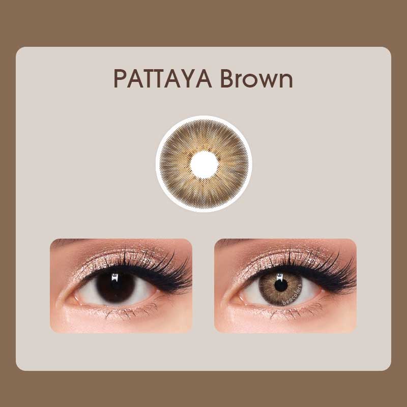 【Prescription】Beacolors Pattaya Brown Colored contact lenses -BEACOLORS