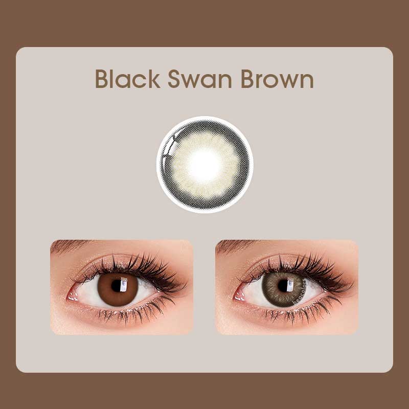 【New】【Prescription】Beacolors Black Swan Brown Colored contact lenses -BEACOLORS