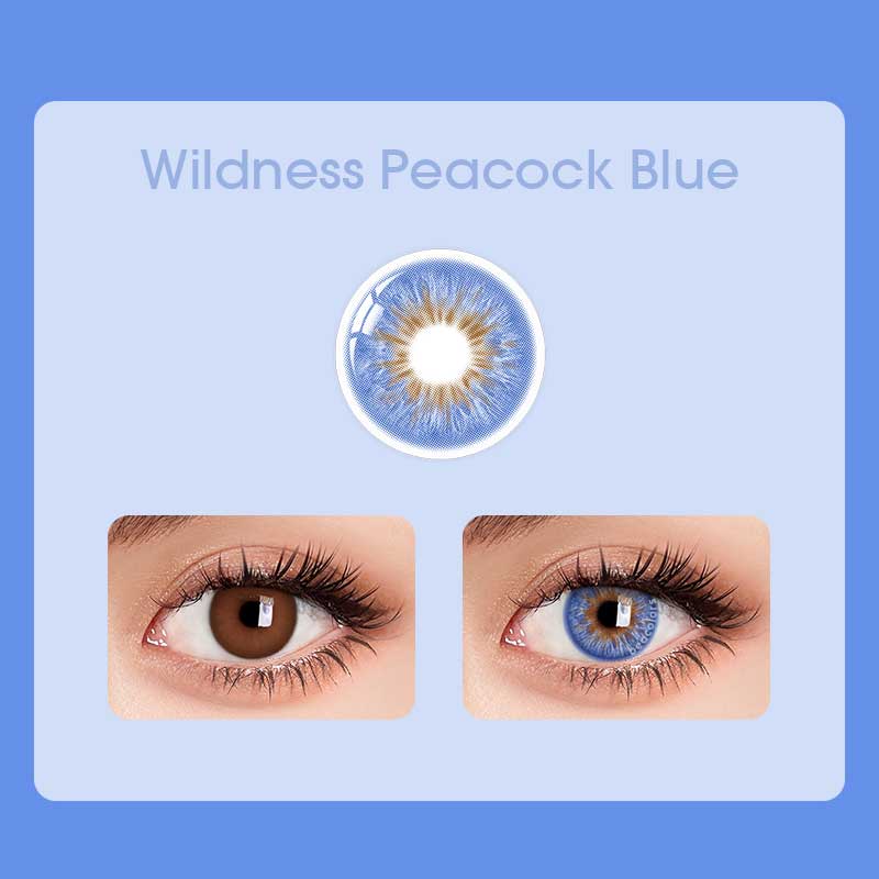 【U.S Warehouse】Beacolors Wildness Peacock Blue Colored contact lenses -BEACOLORS