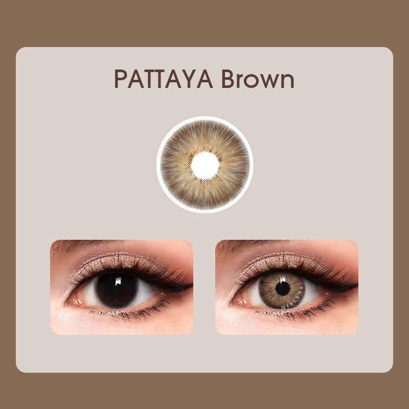 【Prescription】Mislens Pattaya Brown color contact Lenses for dark brown eyes
