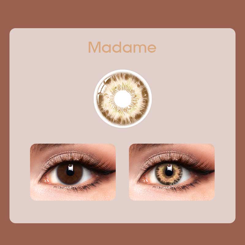 Mislens Rococo Madame Brown color contact Lenses for dark brown eyes