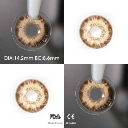 Mislens Rococo Madame Brown color contact Lenses for dark brown eyes
