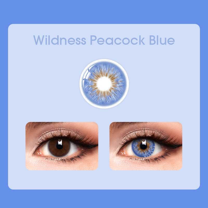 Mislens Wildness Peacock Blue color contact Lenses for dark brown eyes