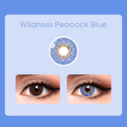 Mislens Wildness Peacock Blue color contact Lenses for dark brown eyes
