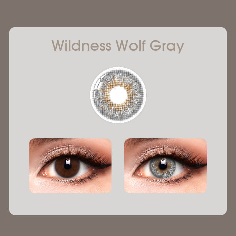 Mislens Wildness Wolf Gray color contact Lenses for dark brown eyes