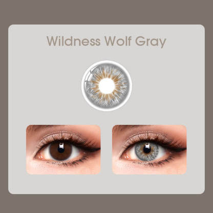 Mislens Wildness Wolf Gray color contact Lenses for dark brown eyes