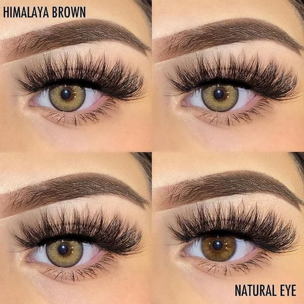 【U.S Warehouse】Mislens Himalaya Brown color contact Lenses for dark brown eyes
