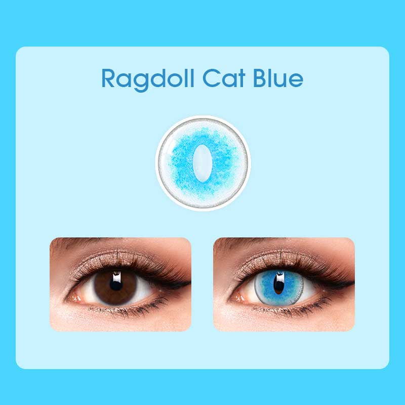 Ragdoll Cat Blue Contact Lenses