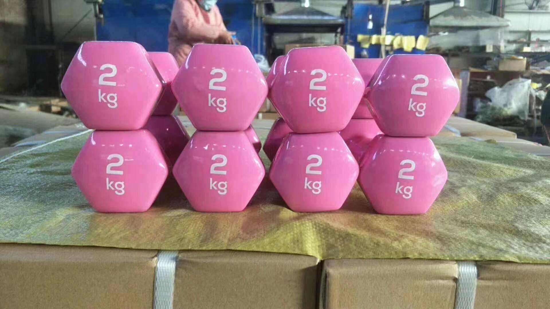 Vinyl dumbbell