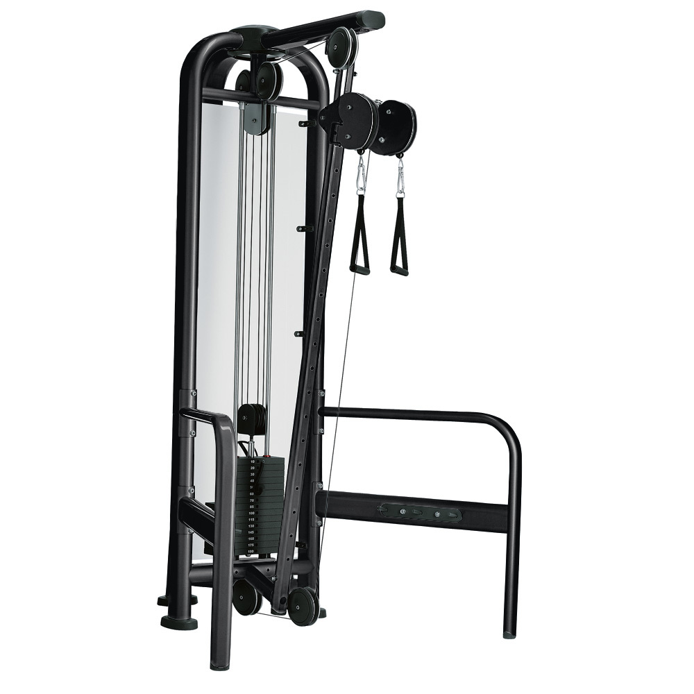 Gym Double pulley multi-function