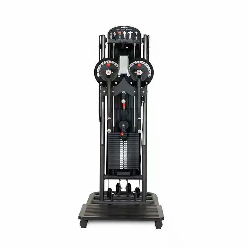 Standing Multi Flight Machine