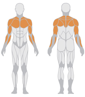 Fully Adjustable Bench