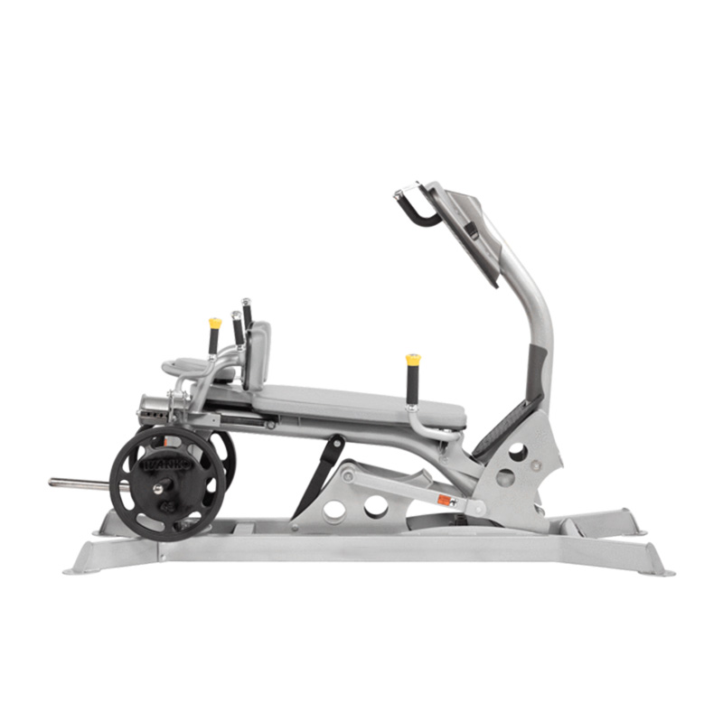 Dual Action Leg Press