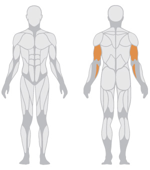 Alternate Triceps Machine