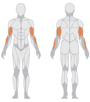 Adjustable Standing Curl Bench