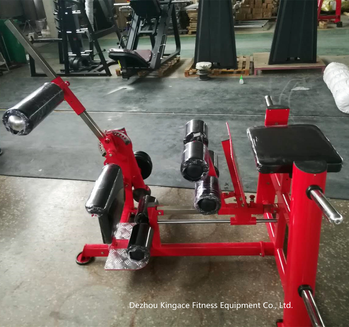 Inverse Leg Curl&Hip Quad