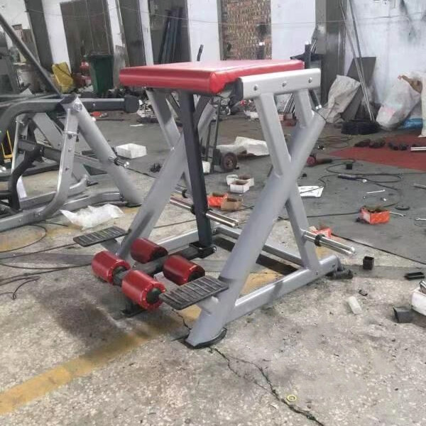 Peverse Back Extension