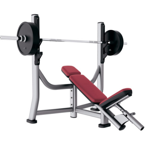 Gym Incline Press
