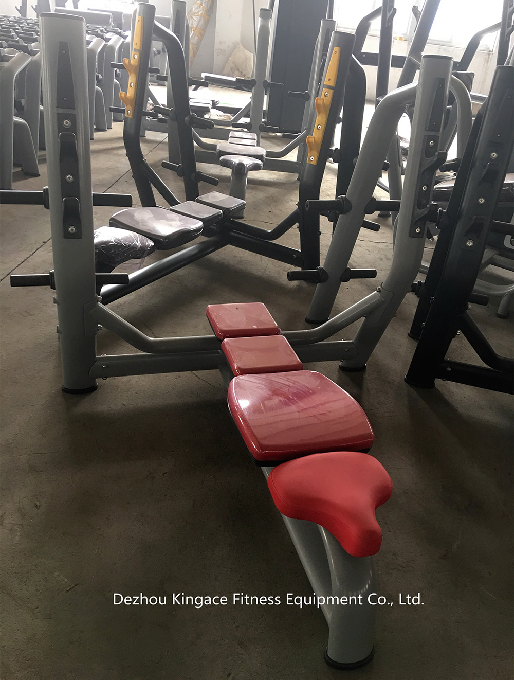 Weight Bench