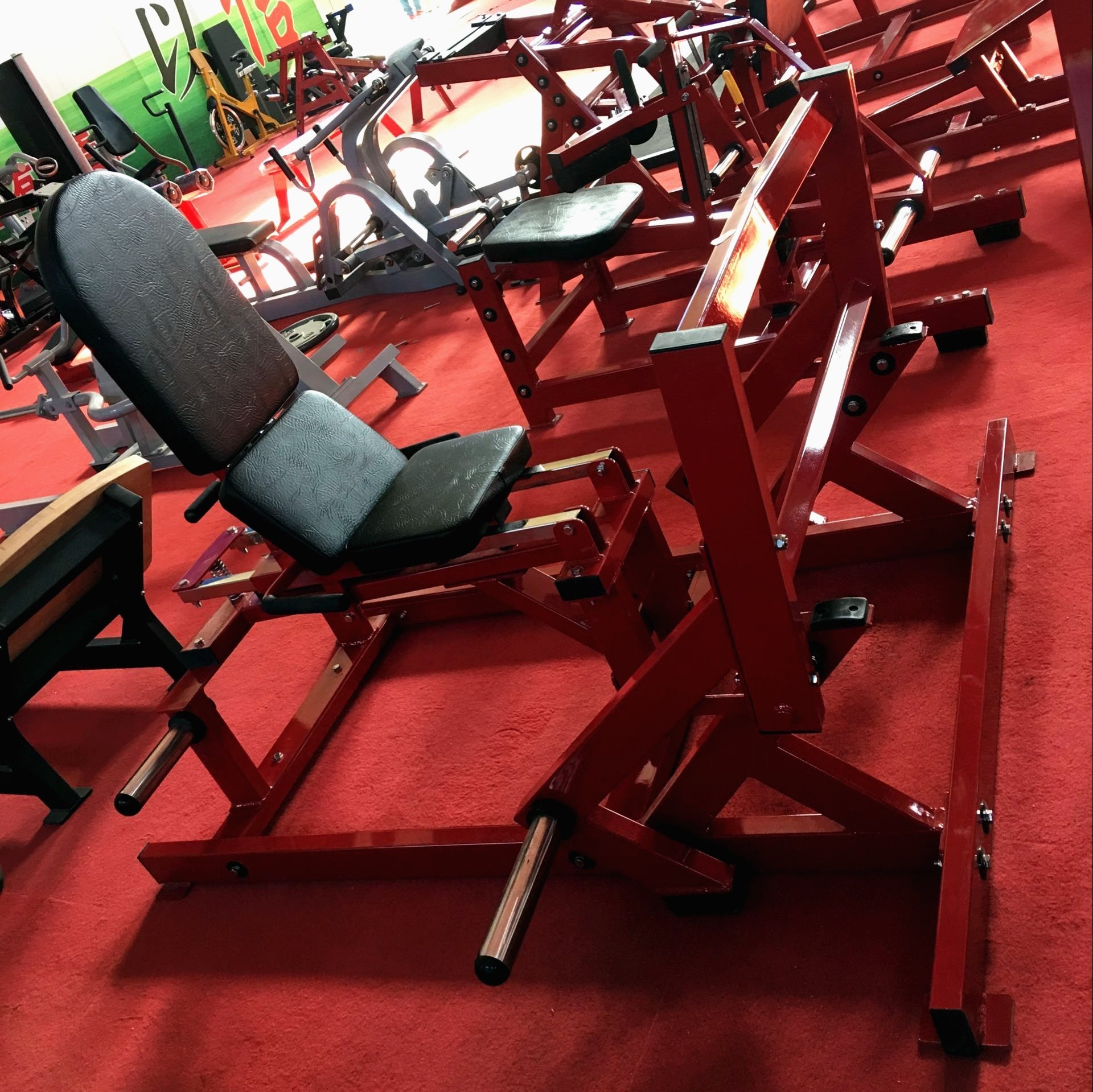 Super Horizontal Calf