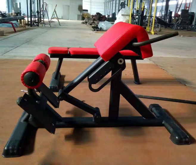 Gym Adjustable Roman Chair