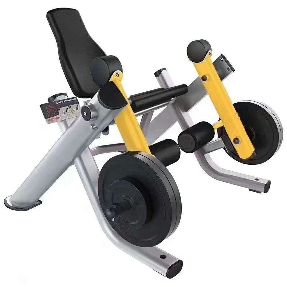 Leg Extension
