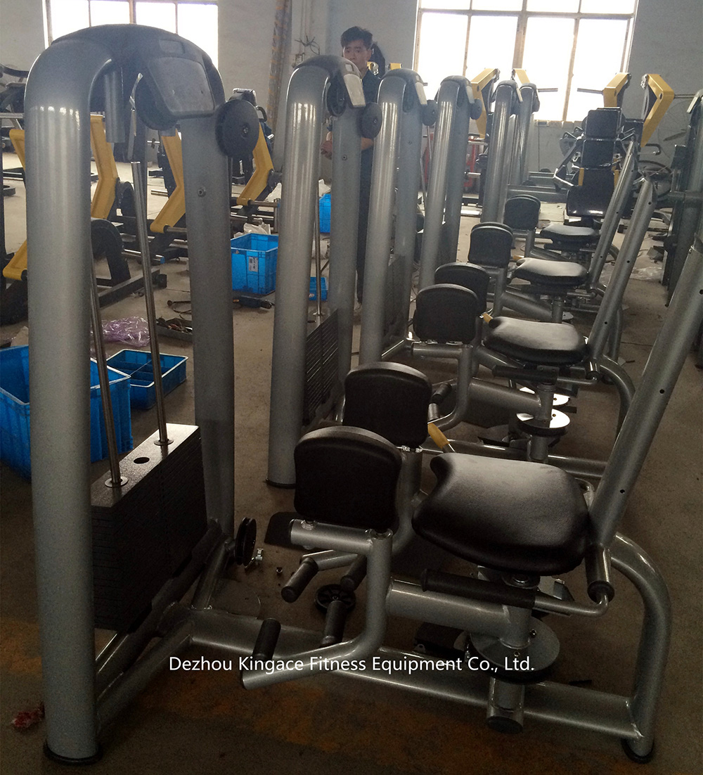 Inner Thigh Adductor