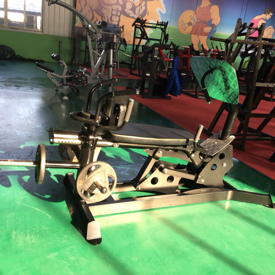 Dual Action Leg Press