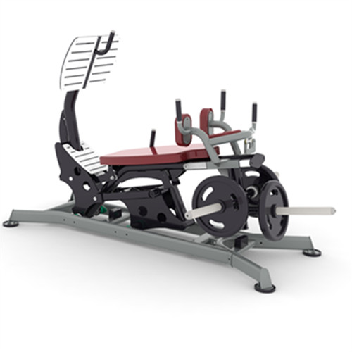 Dual Action Leg Press