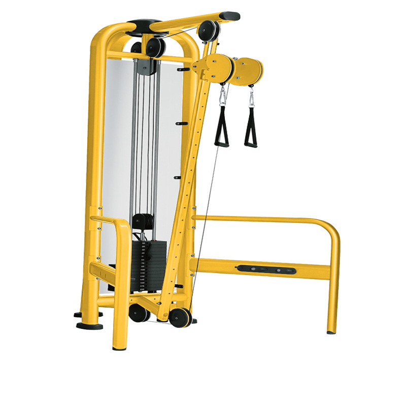 Gym Double pulley multi-function