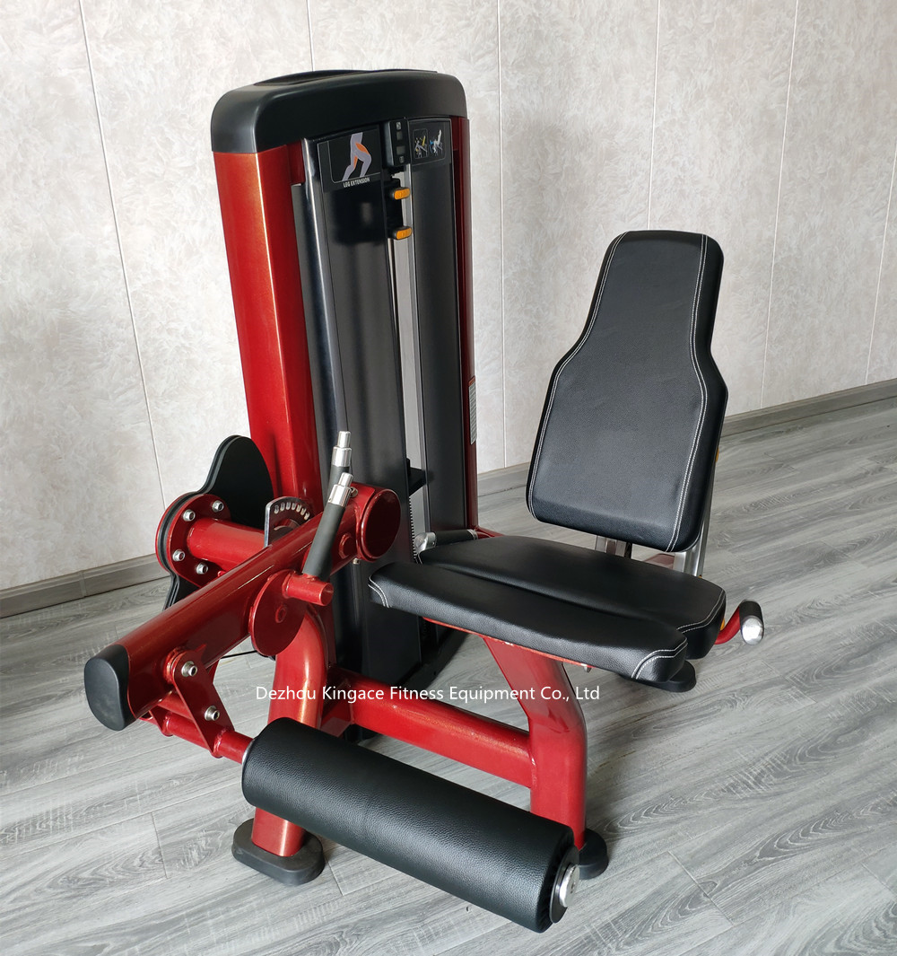 Seated Leg Extension