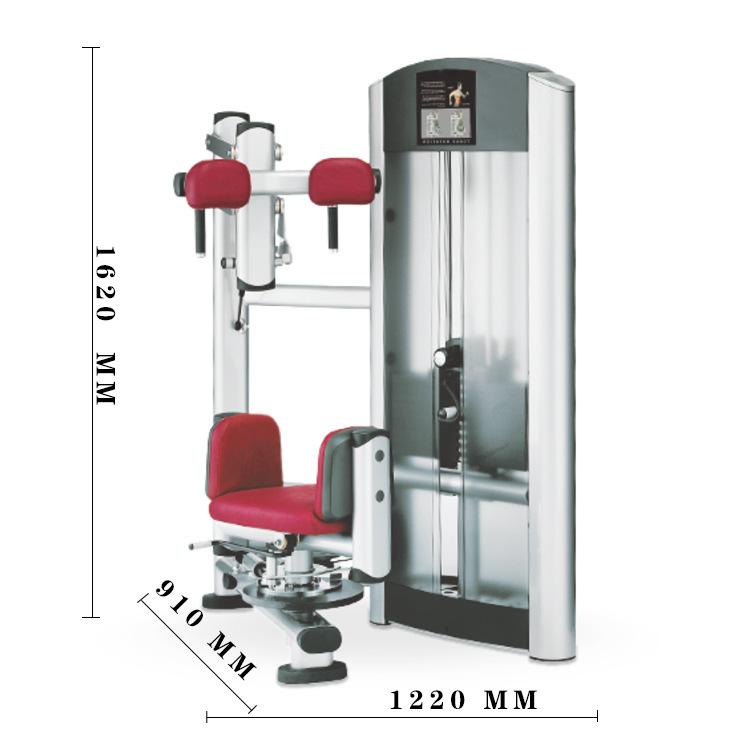 Gym Rotary Torso machineKingace Fitness