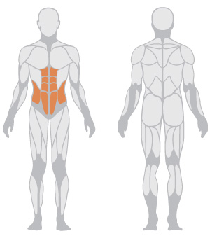 Multipurpose Sit Up Bench